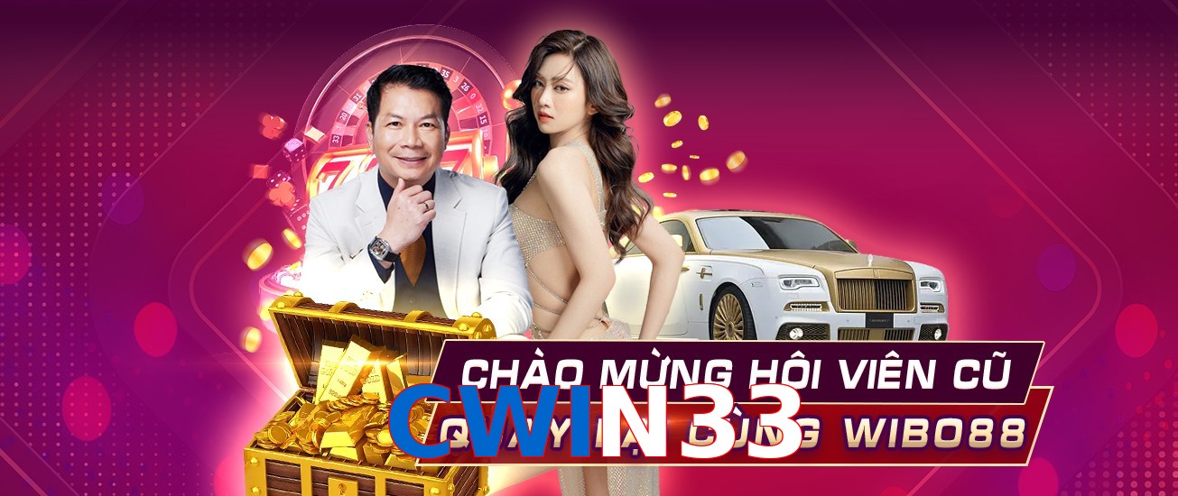 CWIN33